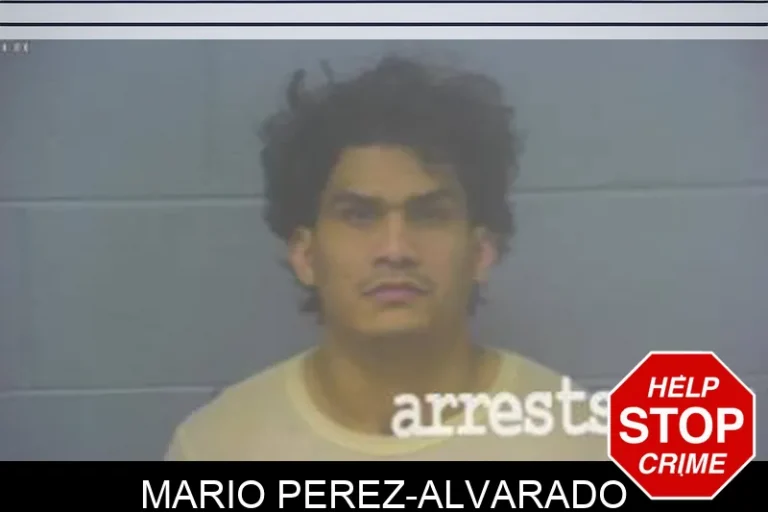 Mario Perez-Alvarado