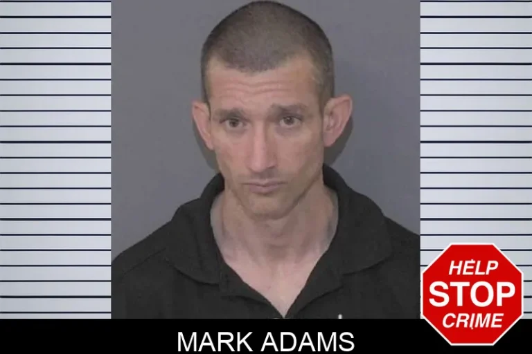 Mark Adams