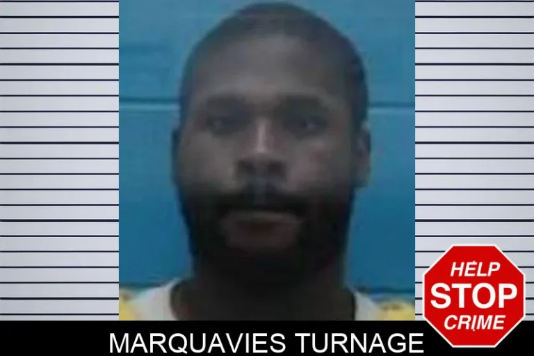 MarquAvies TuRnage