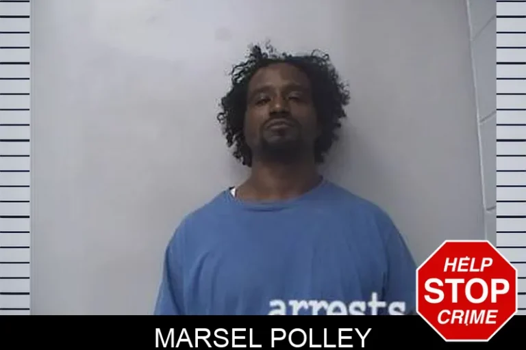 Marsel Polley