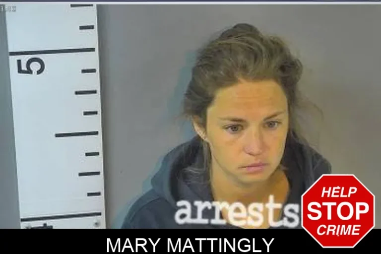 Mary Mattingly
