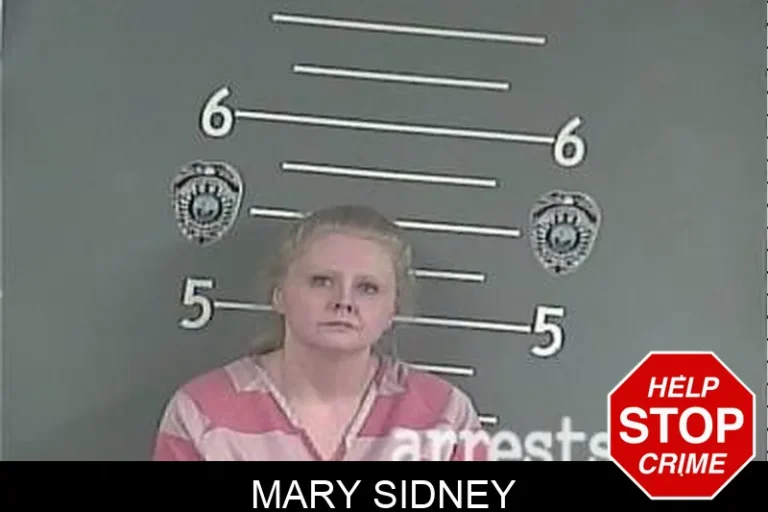 Mary Sidney