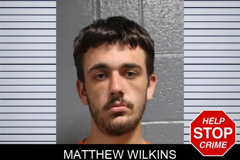 Matthew Wilkins