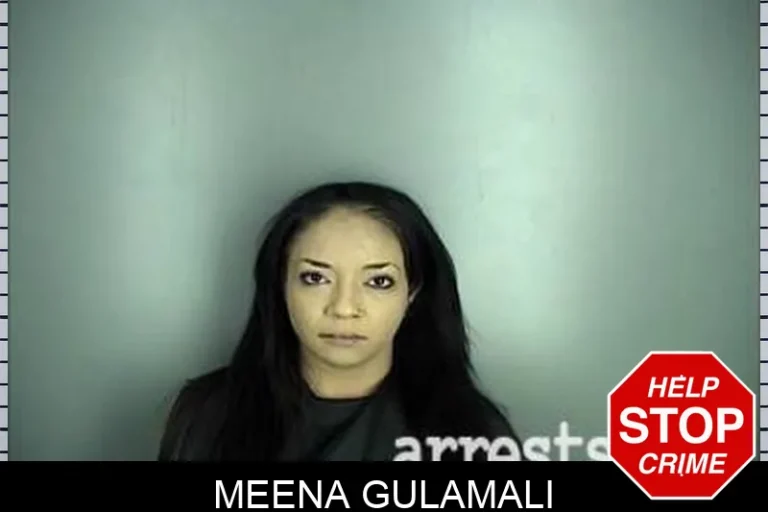 Meena GuLamali