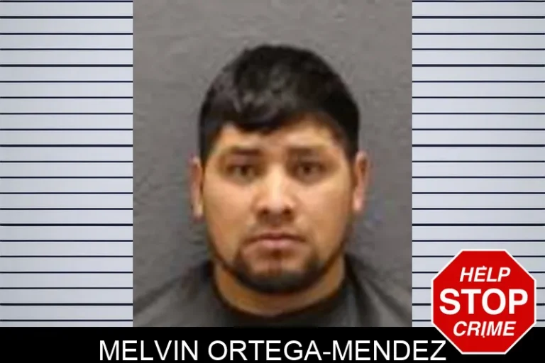 Melvin Ortega-Mendez