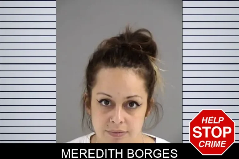 Meredith Borges