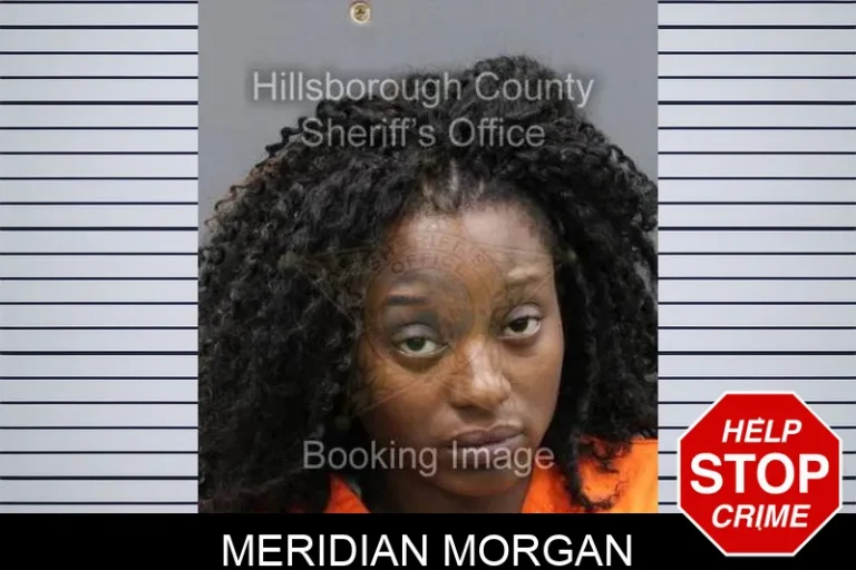 Meridian Morgan