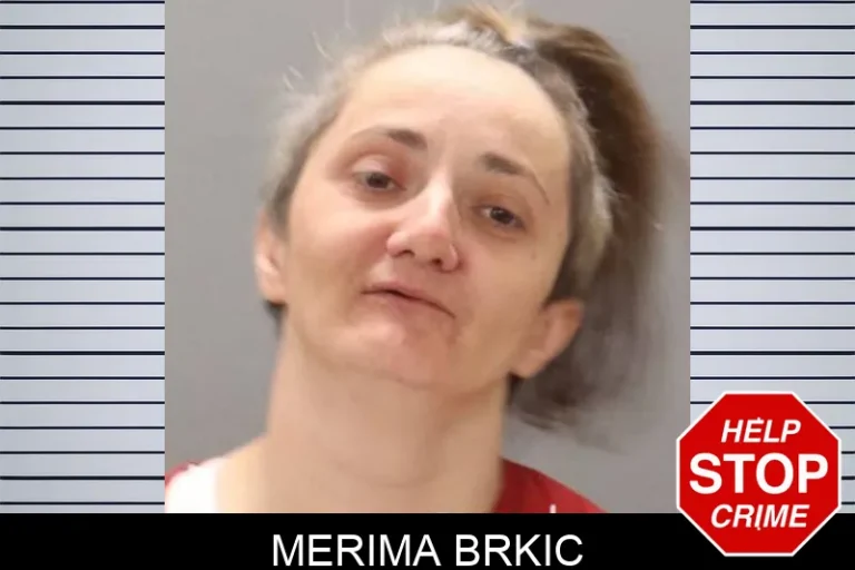 Merima Brkic