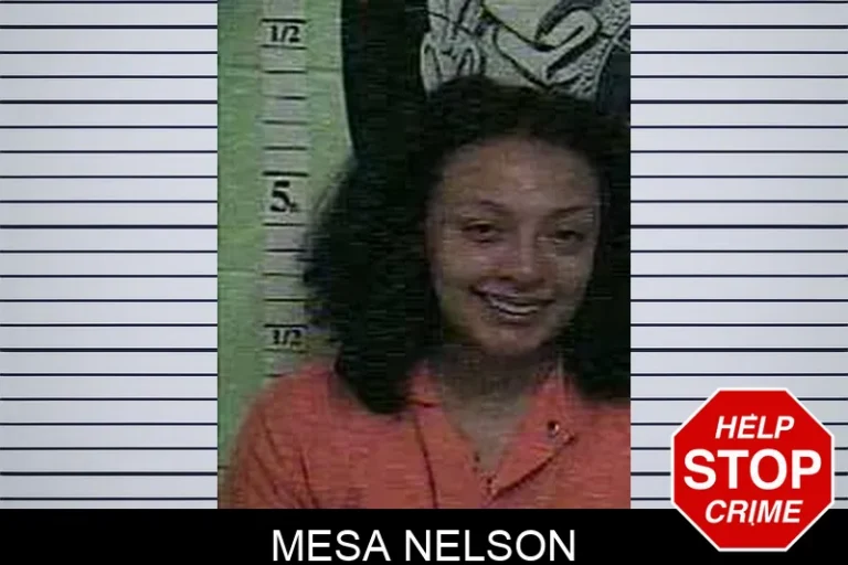 Mesa Nelson