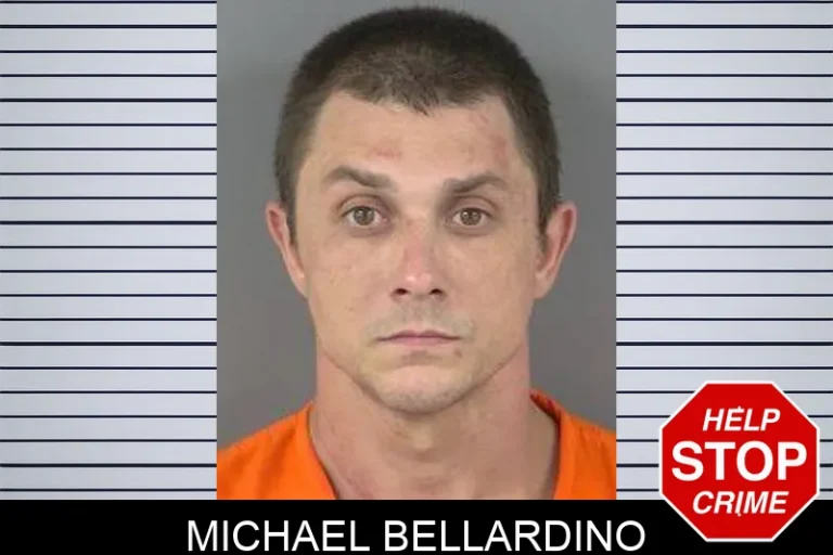 Michael Bellardino