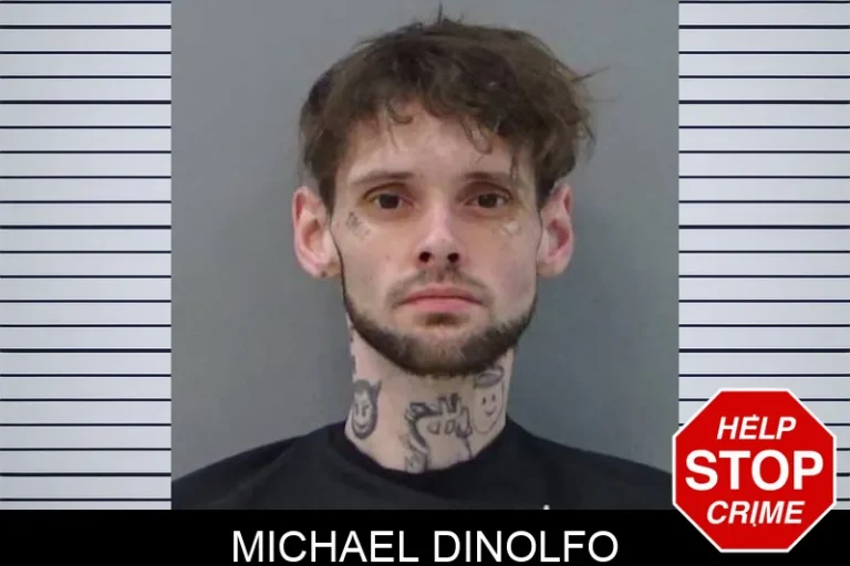 Michael Dinolfo