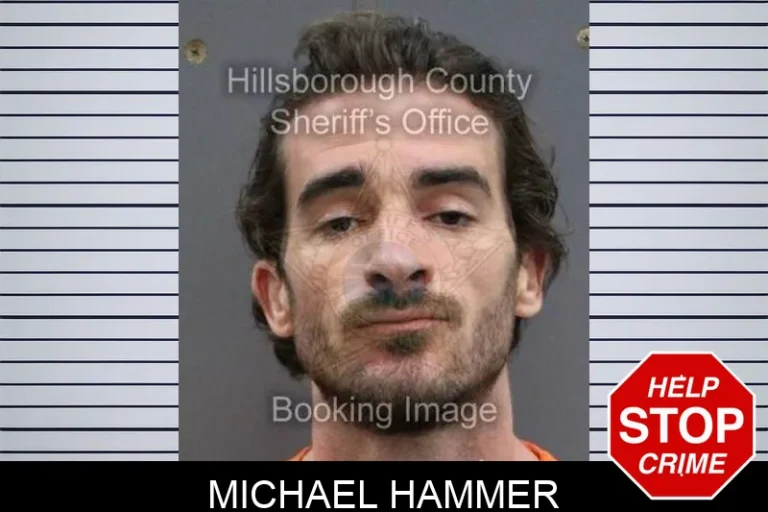 Michael Hammer