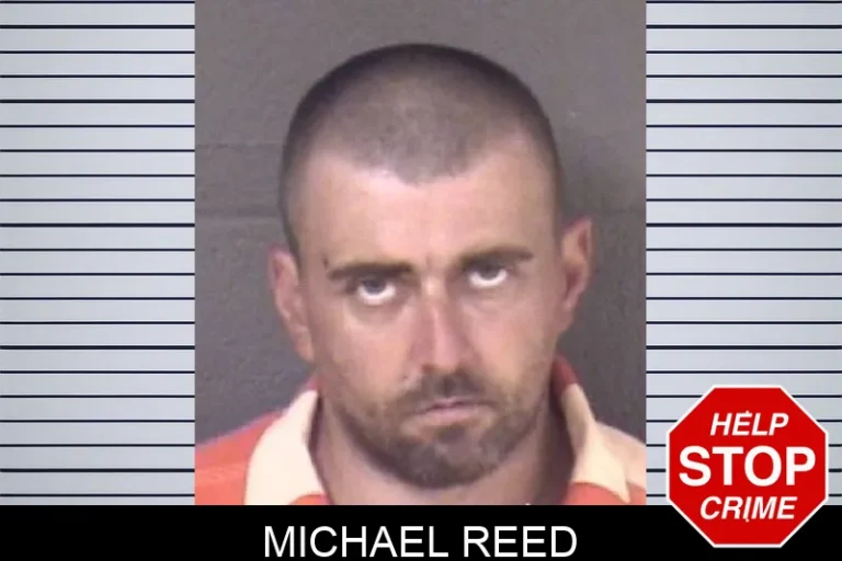 Michael Reed
