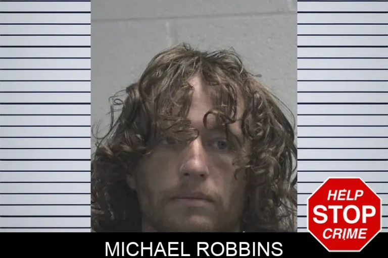 Michael Robbins