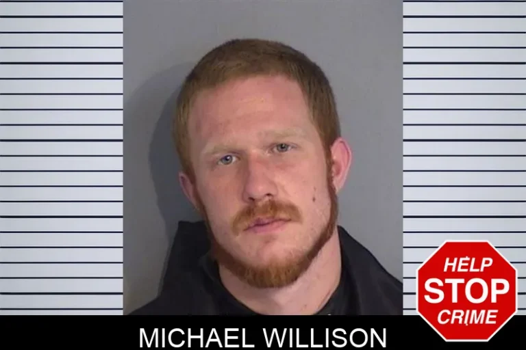 Michael Willison