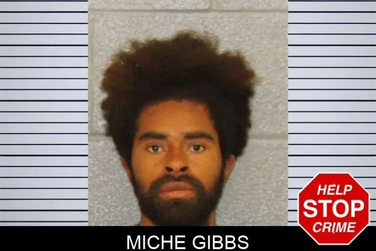 Miche Gibbs