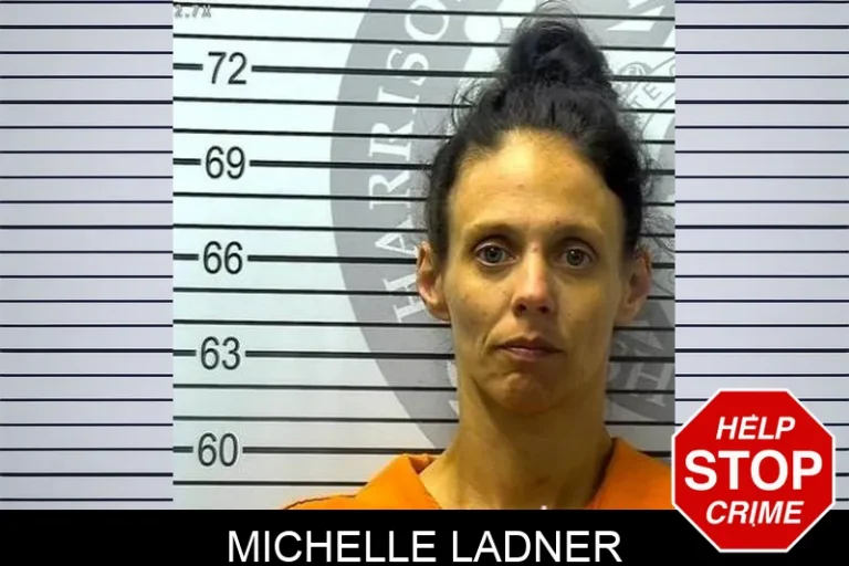 Michelle Ladner