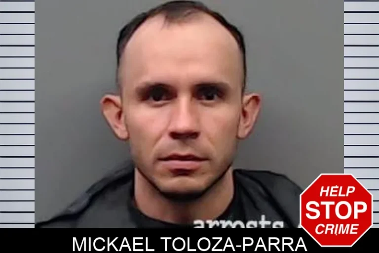 Mickael Toloza-Parra
