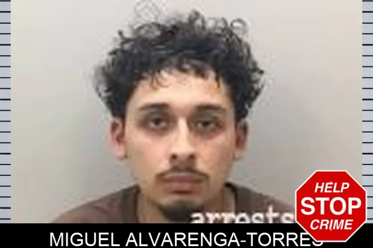 MiguEl Alvarenga-Torres