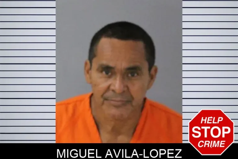 MiguEl Avila-Lopez