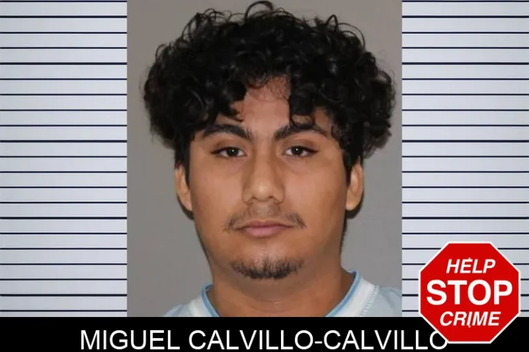 MiguEl Calvillo-Calvillo