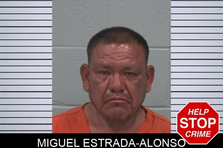 MiguEl Estrada-Alonso