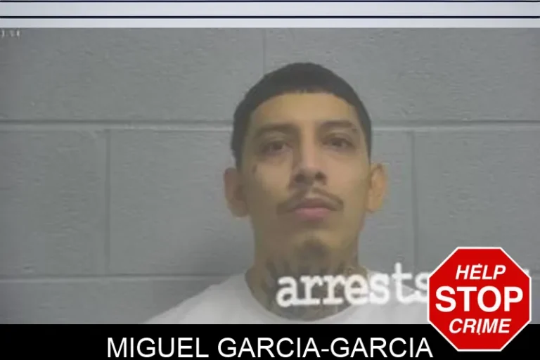 MiguEl Garcia-Garcia