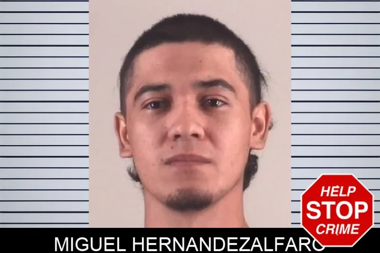 MiguEl Hernandezalfaro