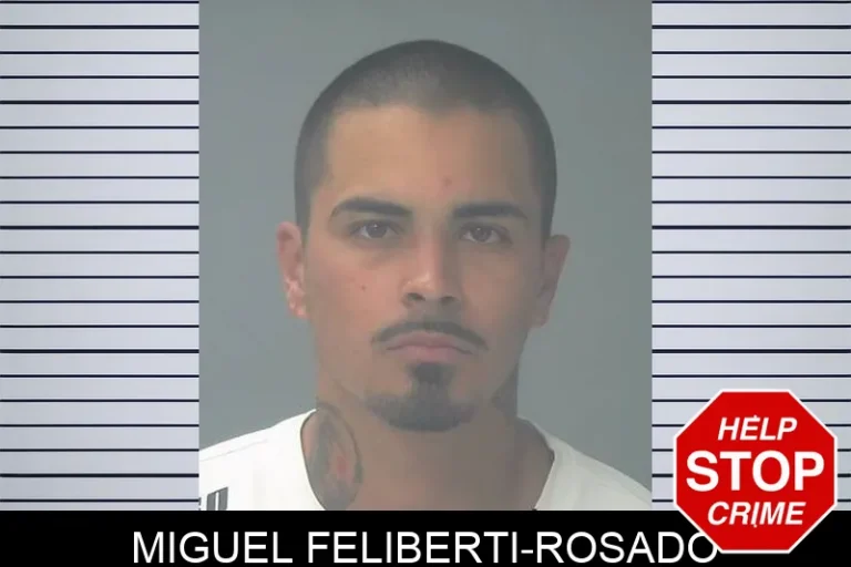 Miguel Feliberti-Rosado