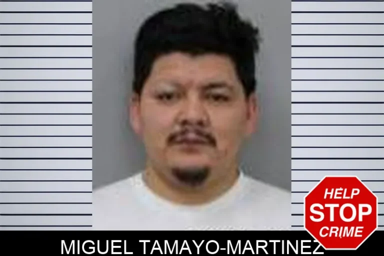 Miguel Tamayo-Martinez