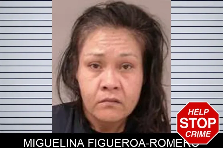 Miguelina Figueroa-Romero