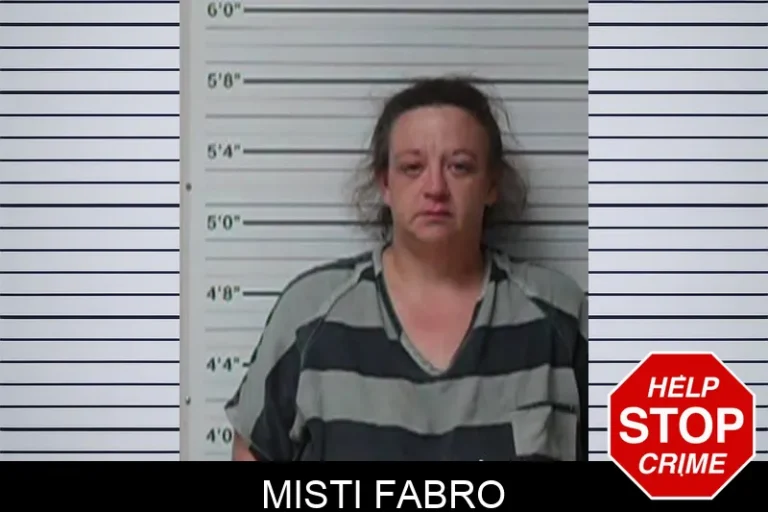 Misti Fabro