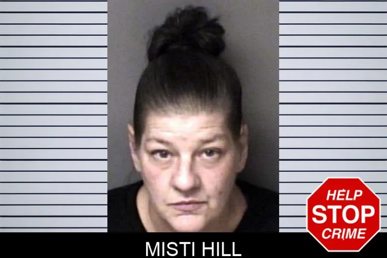 Misti Hill