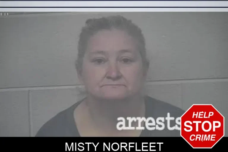 Misty Norfleet