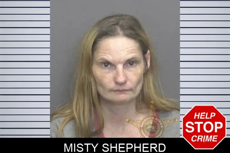 Misty Shepherd