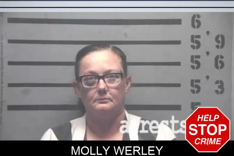 Molly Werley
