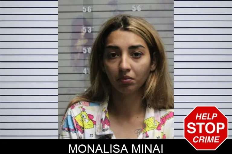 Monalisa Minai