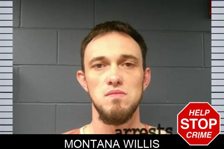 Montana Willis