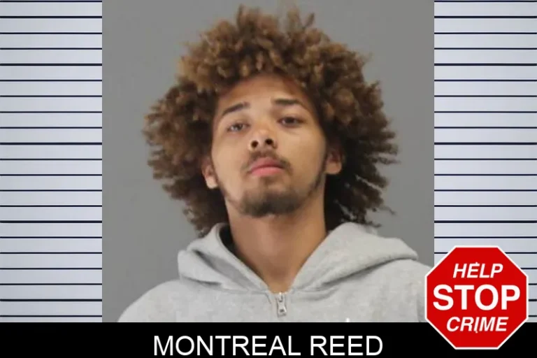 Montreal Reed