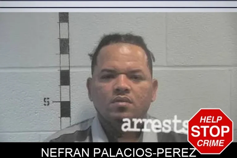 Nefran Palacios-Perez