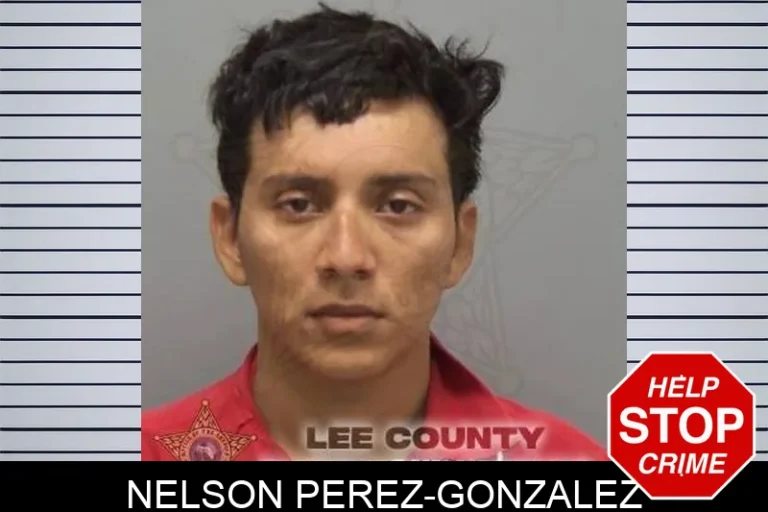 Nelson Perez-Gonzalez