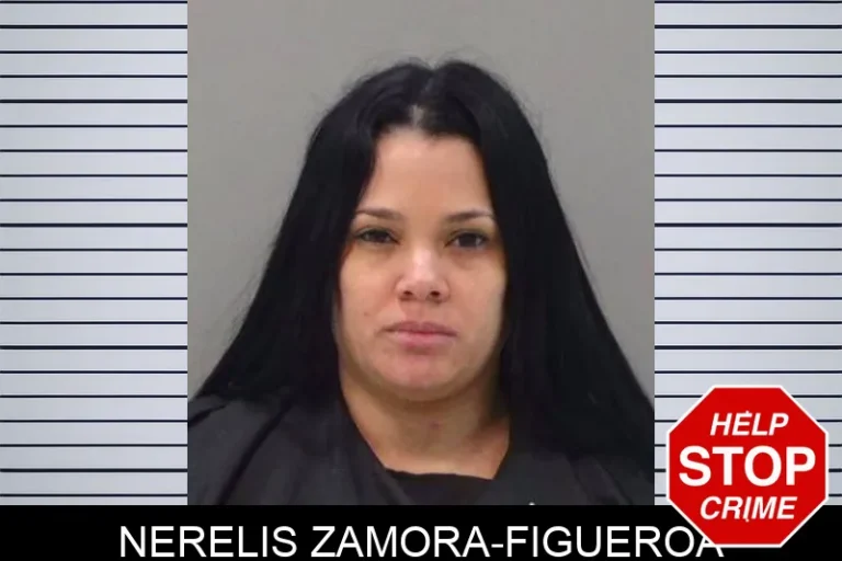 Nerelis Zamora-Figueroa