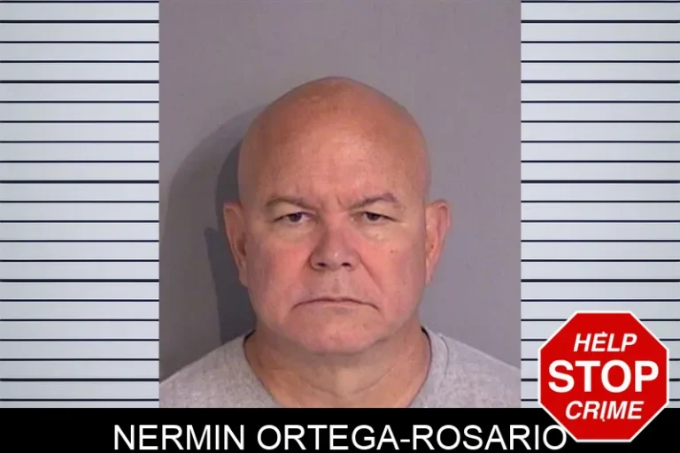 Nermin Ortega-Rosario