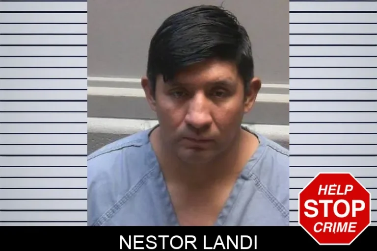 Nestor Landi