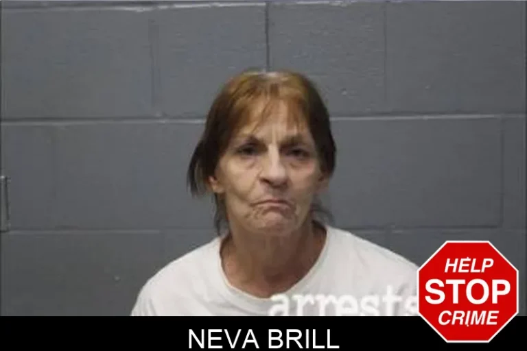 Neva Brill