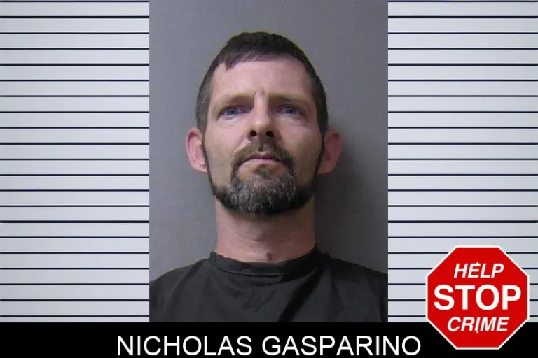Nicholas Gasparino