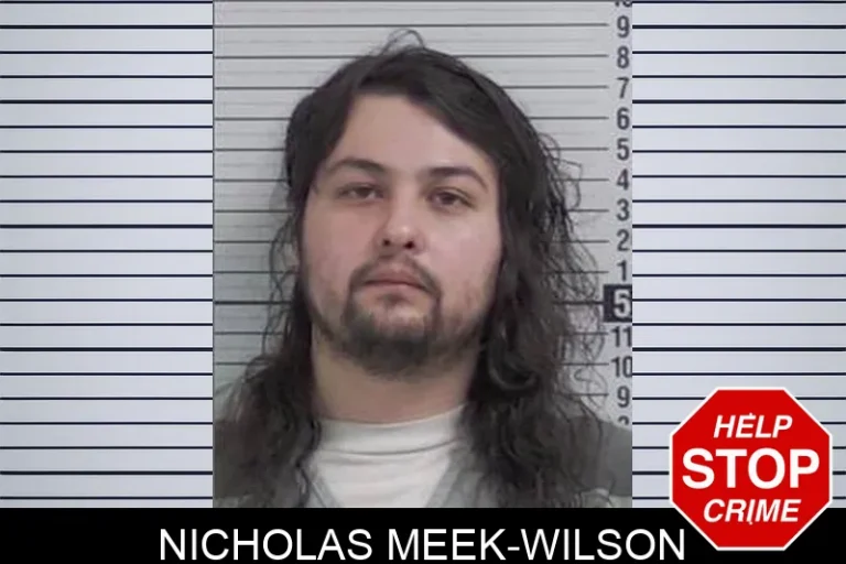 Nicholas Meek-Wilson
