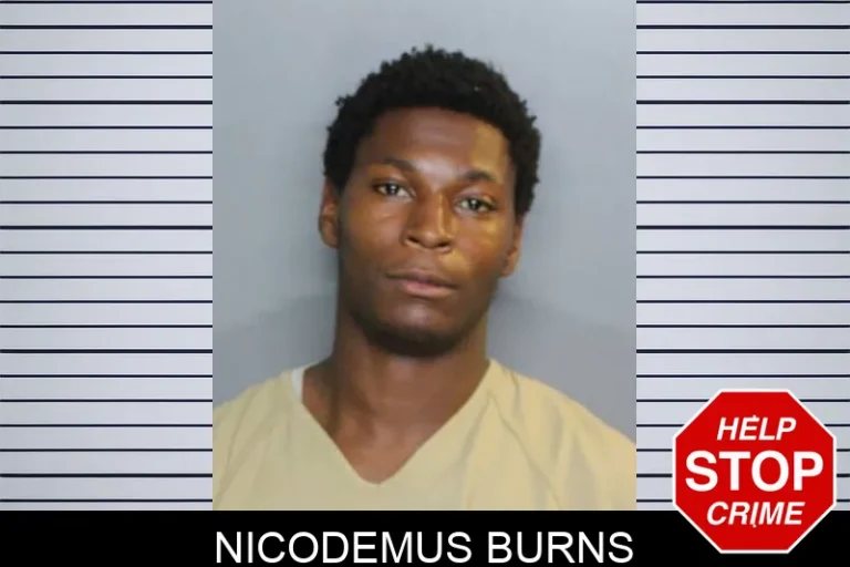 Nicodemus Burns