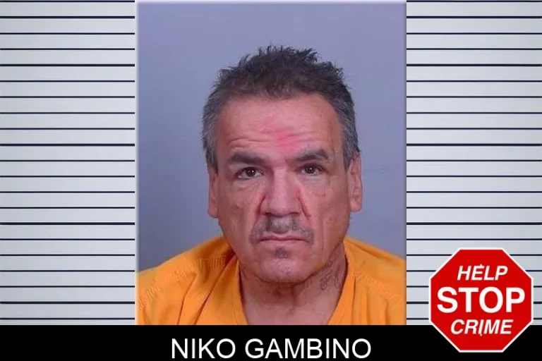 Niko Gambino