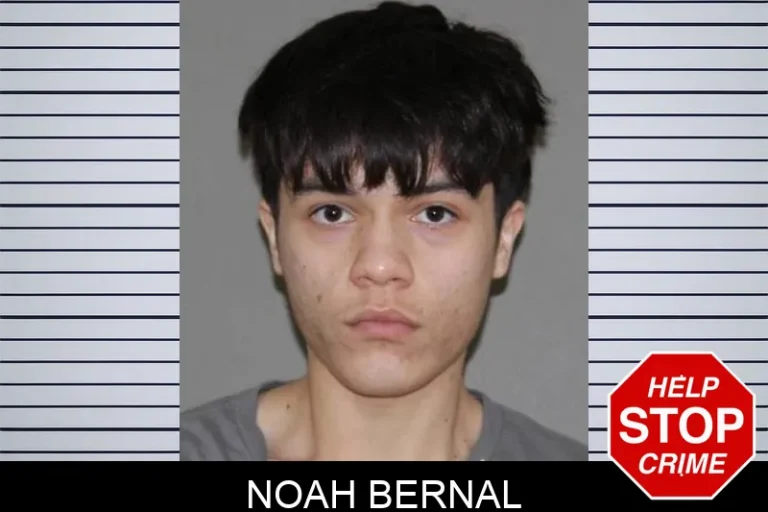 Noah Bernal